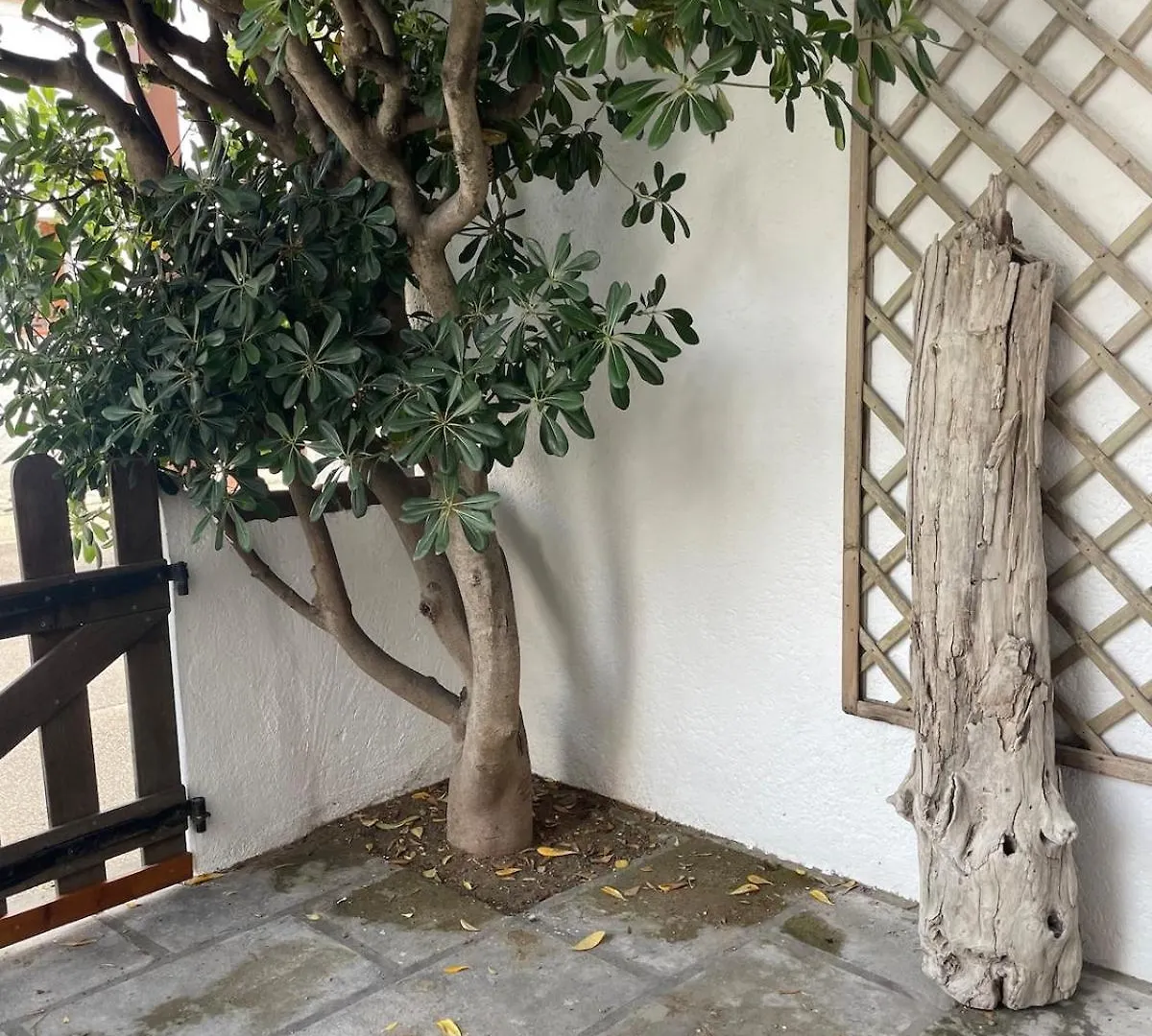Le 45- La Sauvagine, Appartement Avec Grande Terrasse, 6 Couchages, 2 Chambres, 3Min De La Plage Saintes-Maries-de-la-Mer